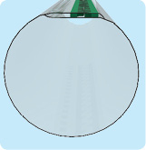 JainChapinBTF3.jpg
